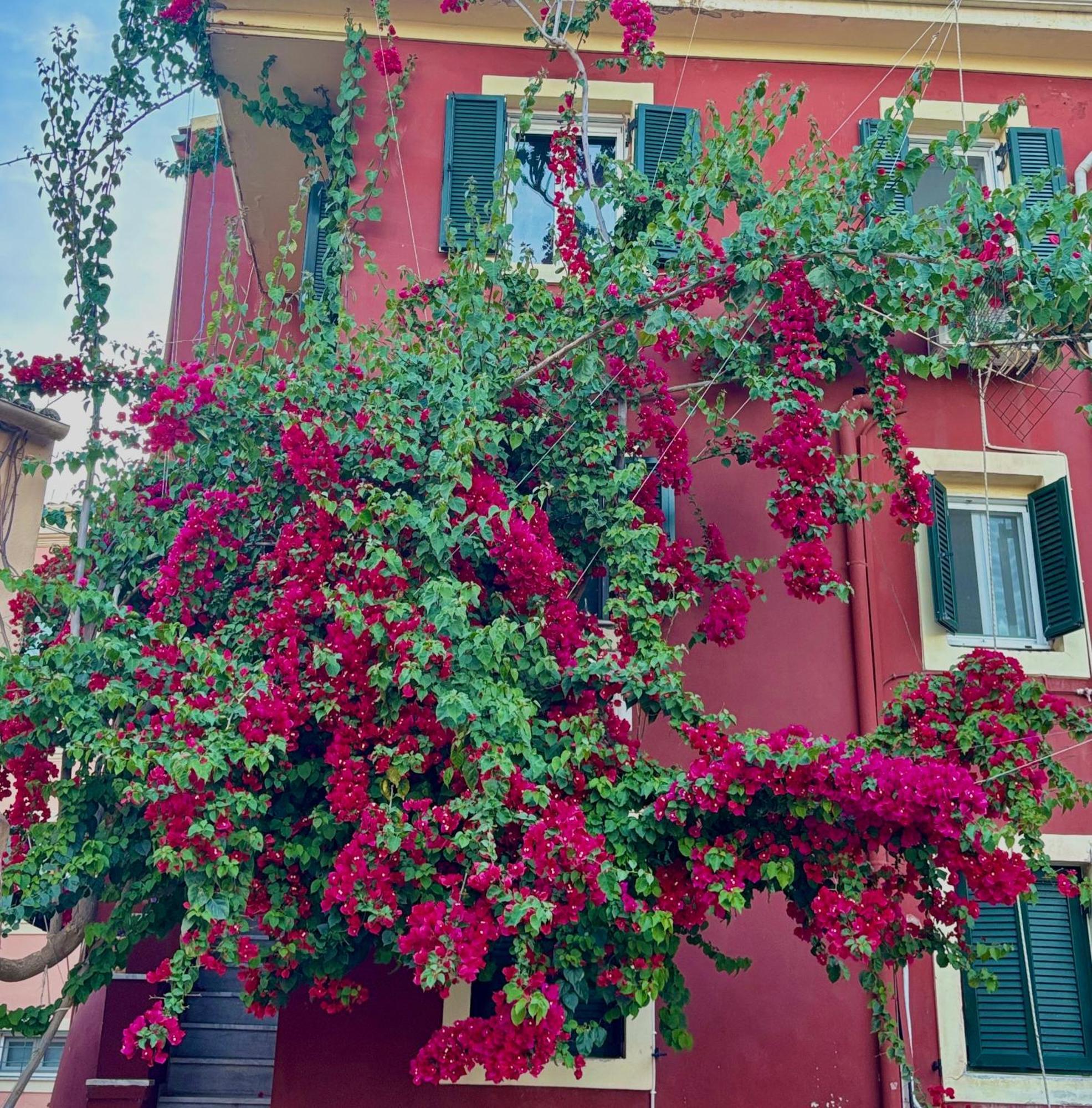 Corfu Port Home Exterior photo